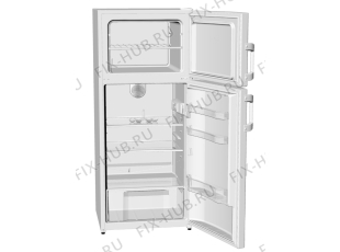 Холодильник Gorenje RF60278HW (301276, HZZS2767F) - Фото